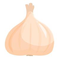 Single garlic bulb sitting on white background vector