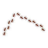 Colony of ants marching in a line on white background vector