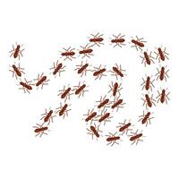 Colony of ants marching in different directions on white background vector