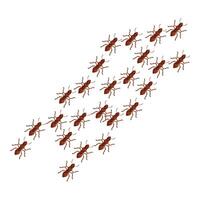 Colony of ants marching in a row on white background vector