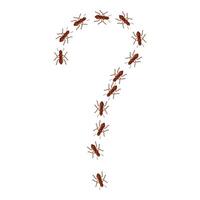 Ants forming a question mark on white background vector