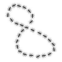 Ants forming number eight shape over white background vector