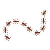 Red ants marching in a line on white background vector