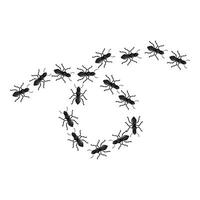 Ants marching in a circle on white background vector