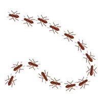 Colony of red ants marching in a circle forming a spiral shape vector