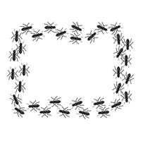 Black ants creating a blank rectangular frame vector
