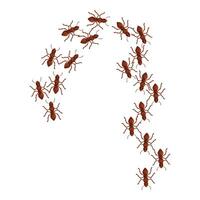 Group of ants are making the shape of a question mark vector