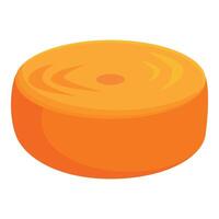 Round piece of cheese wheel showing texture and color vector