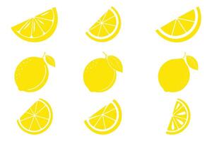 Lemon slices. fresh lemon with lice illustration. Fresh citrus, vector