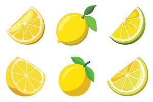Lemon slices. fresh lemon with lice vector