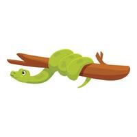 Green tree python hanging on a branch vector