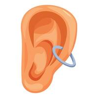 Human ear with piercing showing helix piercing location vector