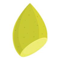 Green potato showing inside in isometric view vector