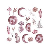 Watercolor boho moon set vector