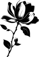 Black and white drawing of a magnolia tree vector
