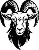 A ram head with horns on a white background vector
