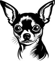 Chihuahua dog illustration vector
