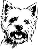 A west highland terrier dog is shown in this drawing vector