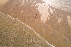 drone aerial view of a beach shore at dawn in summertime photo