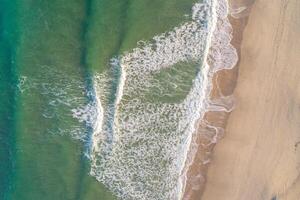 zenithal aerial drone view of a beach shore in summertime. Portugal photo