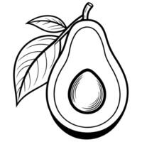 Fresh organic avocado cut in half sliced with leaves isolated on white background with clipping path vector