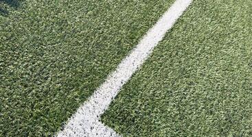 The white Line marking on the artificial green grass soccer field photo