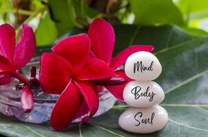 Mind, Body and Soul text engraved on white zen stones with zen flower and leaf background photo