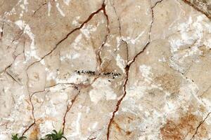 Texture and structure of stone and concrete. Natural background. photo