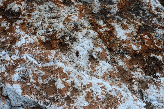 Texture and structure of stone and concrete. Natural background. photo