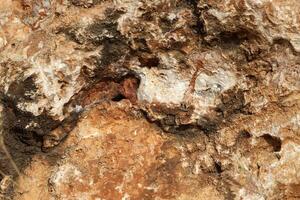 Texture and structure of stone and concrete. Natural background. photo