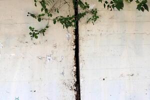 Texture and structure of stone and concrete. Natural background. photo