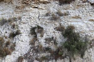 Texture and structure of stone and concrete. Natural background. photo