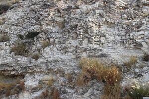 Texture and structure of stone and concrete. Natural background. photo