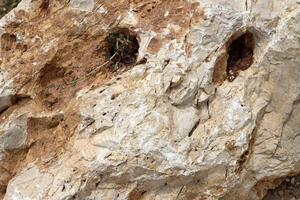Texture and structure of stone and concrete. Natural background. photo