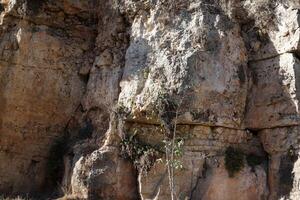 Texture and structure of stone and concrete. Natural background. photo