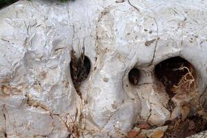 Texture and structure of stone and concrete. Natural background. photo