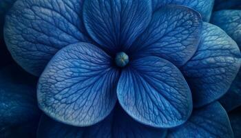 Blue flower extreme macro photo blooming botanical background