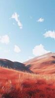Red grass on hill and blue-sky view with clouds nature environment photo