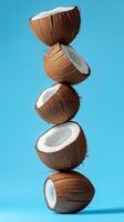 A stack of coconut fruit balancing vertical with isolated background photo