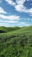 Green grass in hills and blue-sky view, nature outdoor environment story background photo