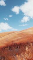 Orange grass in hills and blue-sky view, nature outdoor environment story background photo
