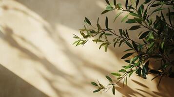 Blank wall building with shadow sunlight light from window and plant copy space background photo