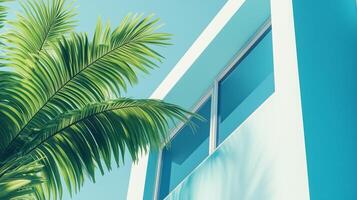 Modern minimalist east style window building with blue tone wall and greenery palm plant decoration photo