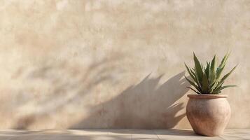 Minimalist wooden table against concrete textured abstract wall with shadow light plant photo