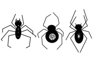 Set of spiders, hand drawn illustrations of spiders vector