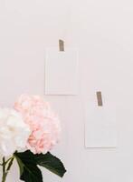 Composition of two white of postcard glued with scotch taped and hydrangea flower branches with leaves photo