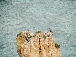 Two birds perched on a rugged rock formation above the ocean photo