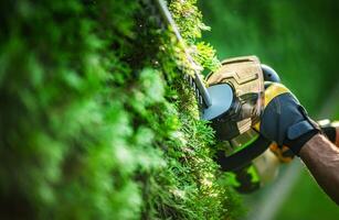 Man Trimming Lush Green Hedge With Electric Trimmer in a Well-Maintained Garden During Sunny Day photo