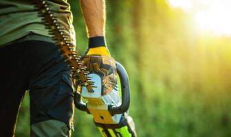 Gardener With Electric Hedge Trimmer in a Sunlit Garden Preparing for Landscaping in Summer photo