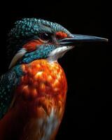 Mystic portrait of Amazon Kingfisher photo